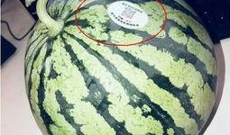 贵州网红吃瓜,揭秘当地美食背后的故事